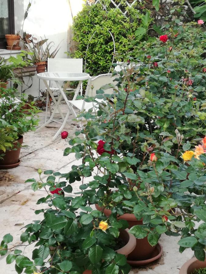 B&B Le Ortensie Castagnole Eksteriør billede